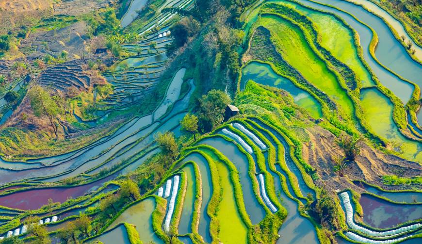 掇刀区产品视频拍摄